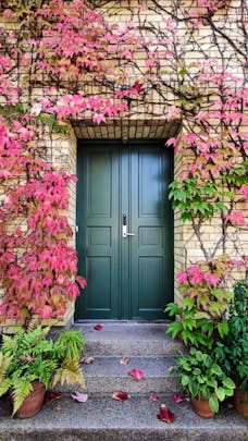 teal doorway with fall vines from Unsplash